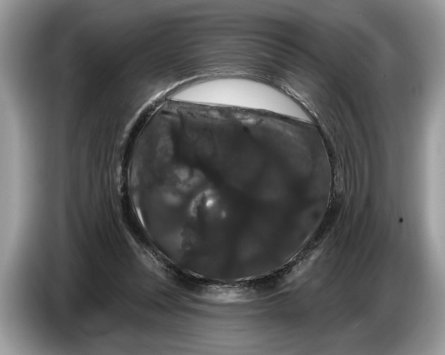 X0000086730351200704271635