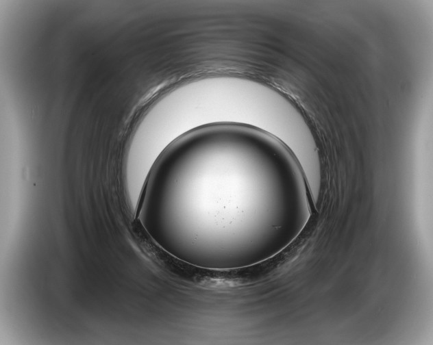 X0000086730352200704271635