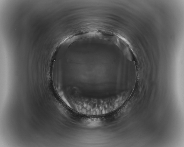 X0000086730353200704271635