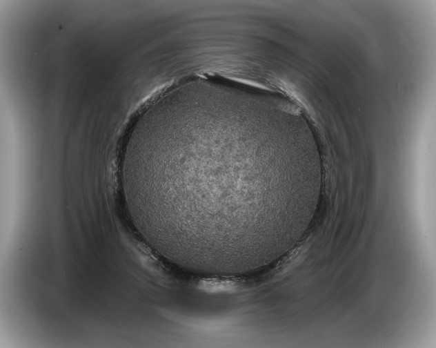 X0000086730354200704271635