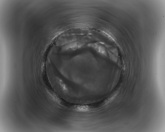 X0000086730355200704271635