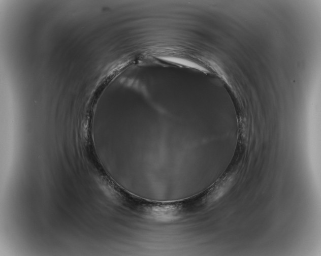 X0000086730357200704271635