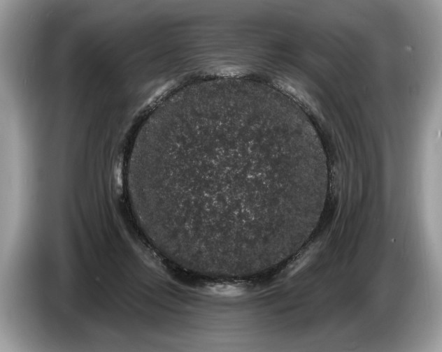 X0000086730358200704271635