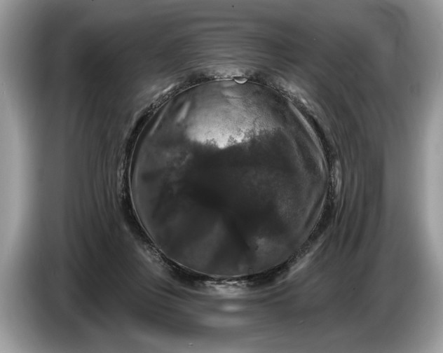 X0000086730359200704271635