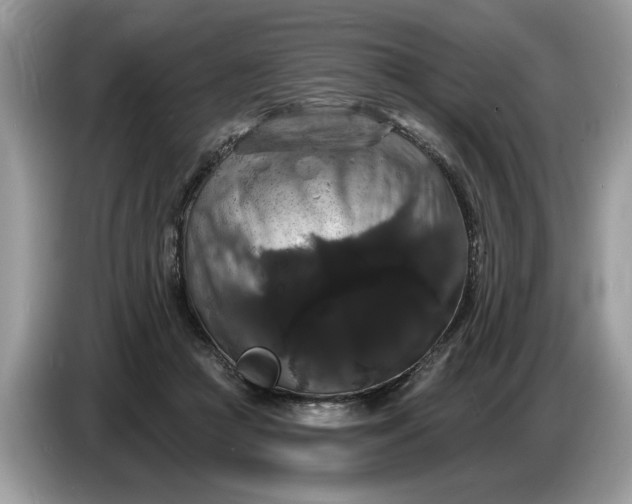 X0000086730361200704271635