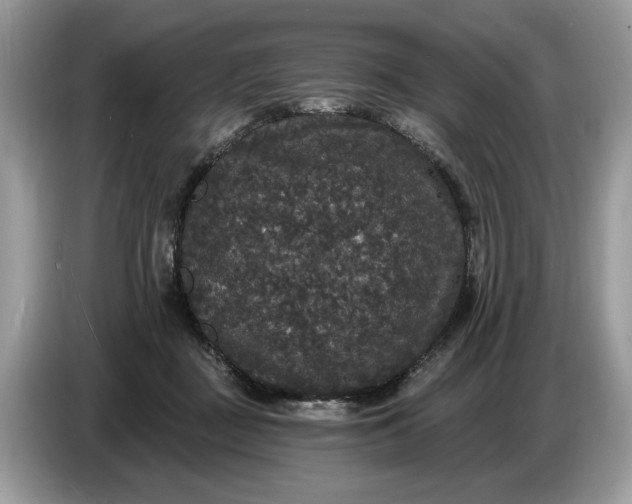 X0000086730363200704271635