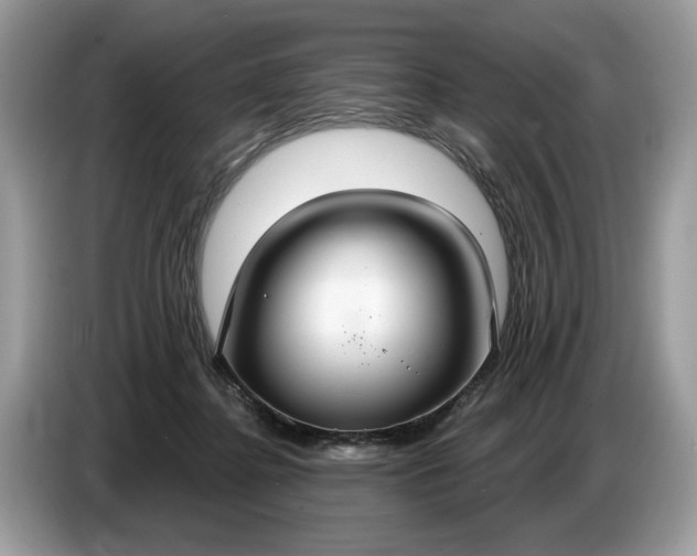 X0000086730364200704271635