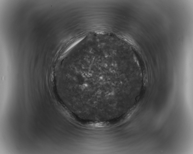 X0000086730365200704271635