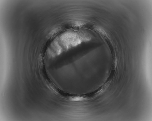 X0000086730366200704271635