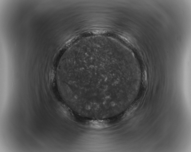 X0000086730367200704271635