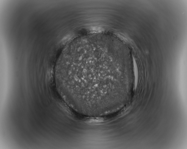 X0000086730369200704271635