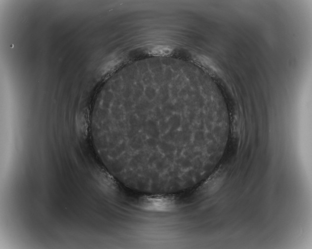 X0000086730370200704271635