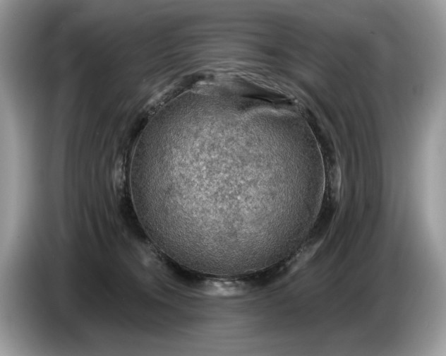 X0000086730372200704271635