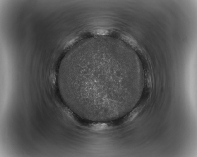 X0000086730374200704271635