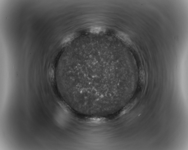 X0000086730375200704271635