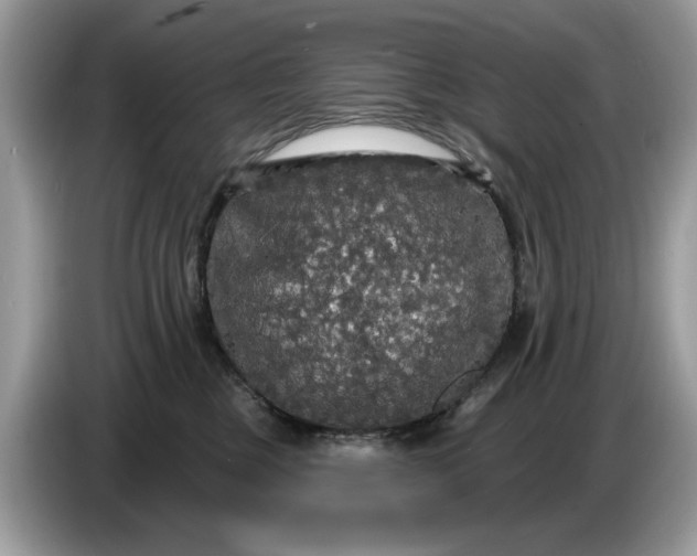 X0000086730377200704271635