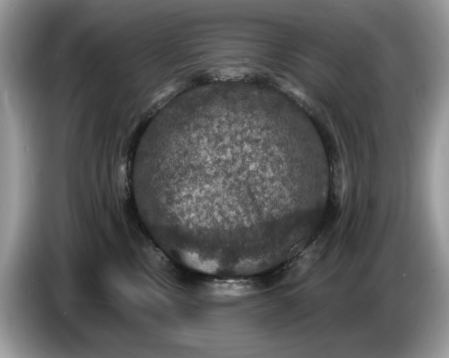 X0000086730378200704271635