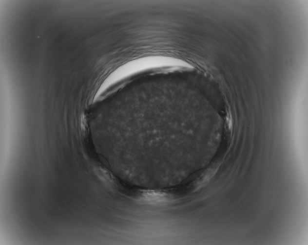 X0000086730380200704271635