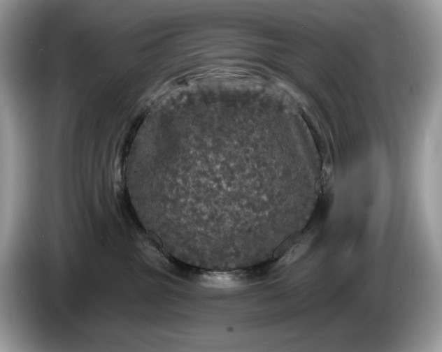 X0000086730381200704271635