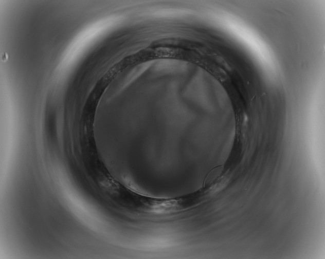 X0000086730382200704271635