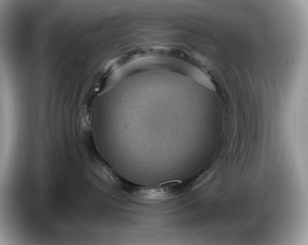 X0000086730384200704271635