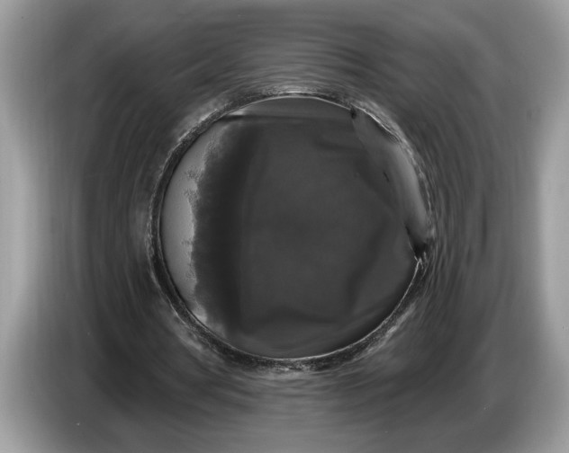 X0000086730386200704271635