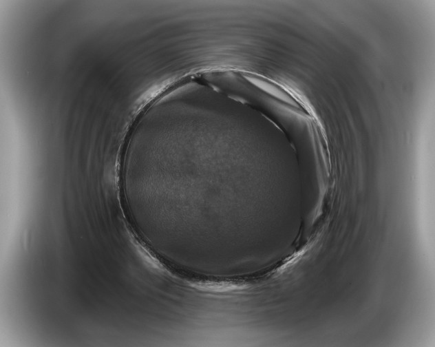 X0000086730389200704271635