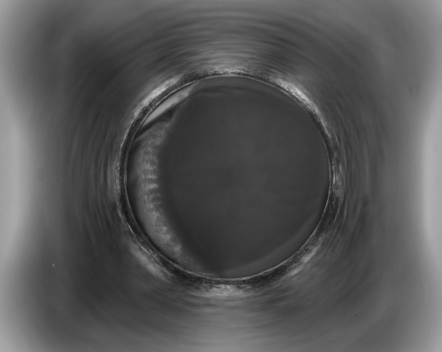 X0000086730390200704271635