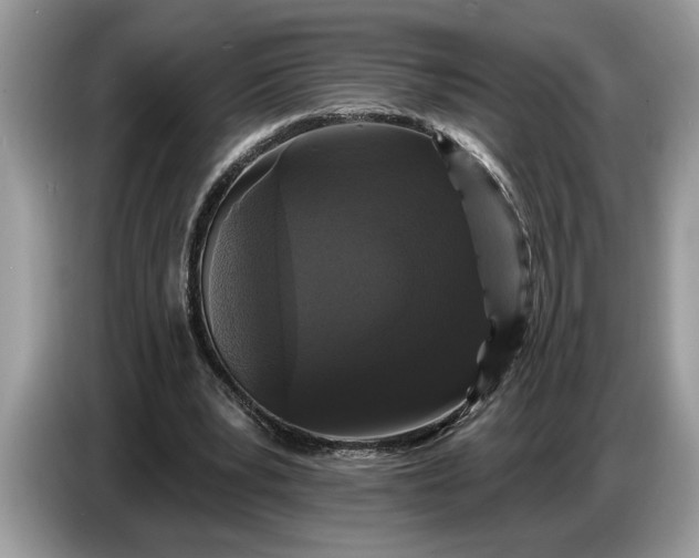 X0000086730391200704271635