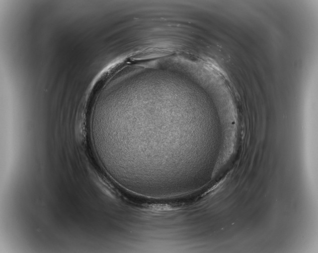 X0000086730392200704271635