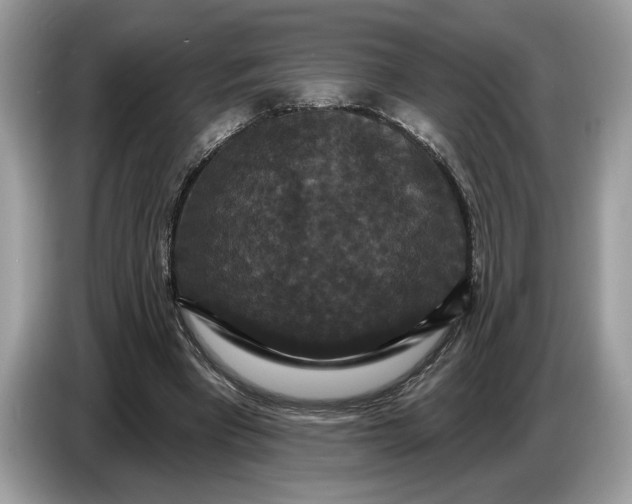 X0000086730393200704271635