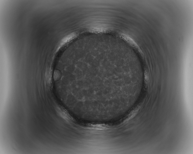 X0000086730396200704271634