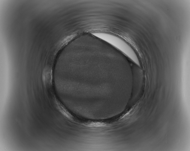 X0000086730397200704271634