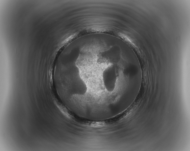 X0000086730398200704271634