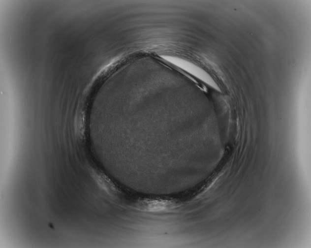 X0000086730400200704271634