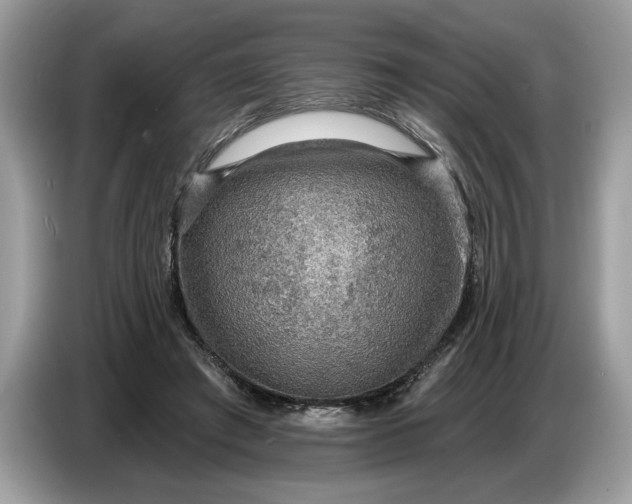 X0000086730401200704271634