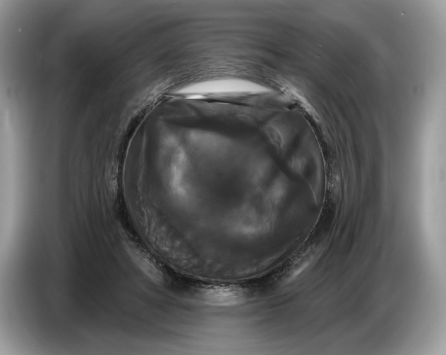 X0000086730402200704271634