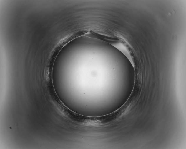 X0000086730403200704271634