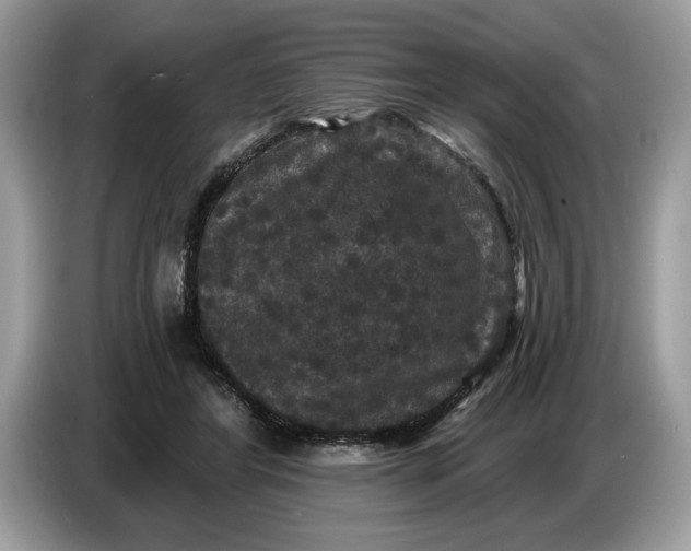 X0000086730404200704271634