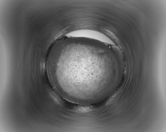 X0000086730405200704271634