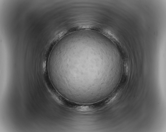 X0000086730406200704271634