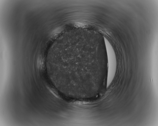 X0000086730408200704271634