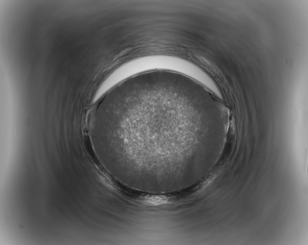 X0000086730409200704271634