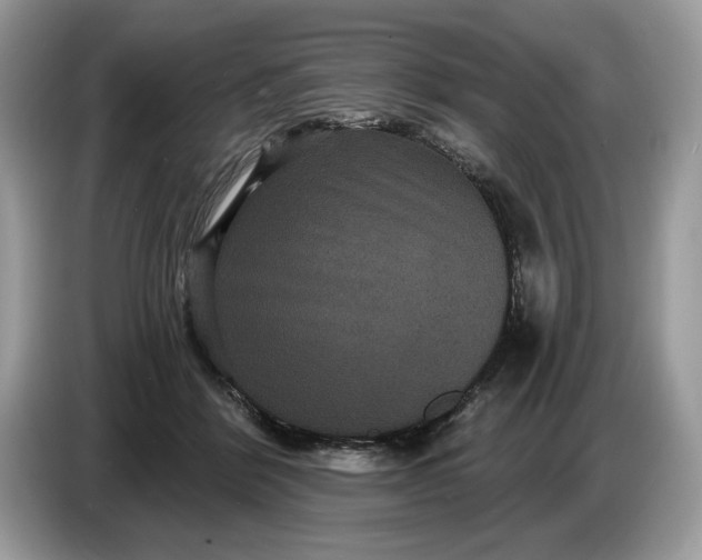 X0000086730412200704271634