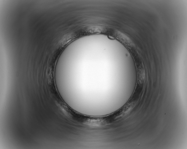 X0000086730414200704271634