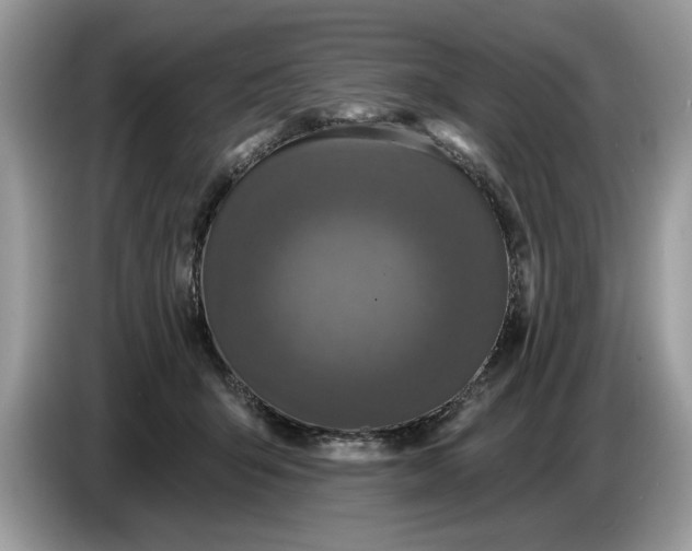 X0000086730415200704271634