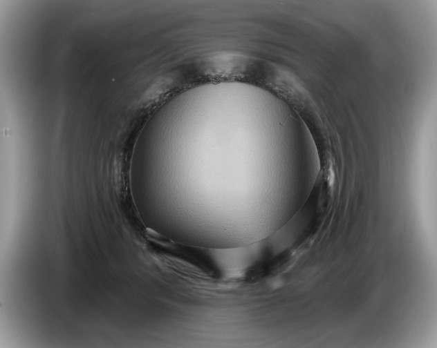 X0000086730416200704271634