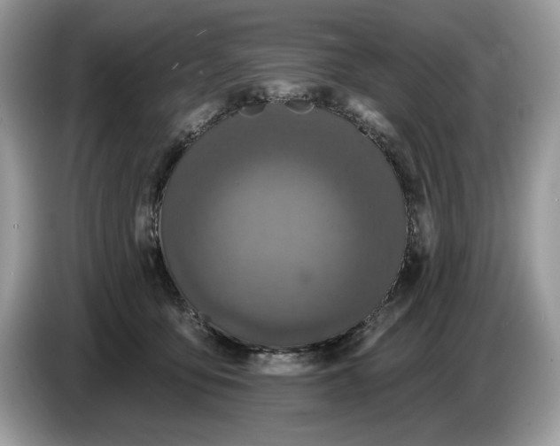 X0000086730419200704271634