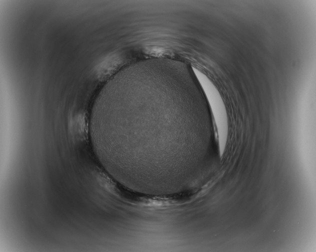 X0000086730420200704271634