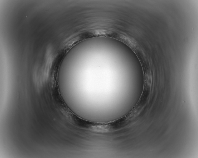 X0000086730422200704271634